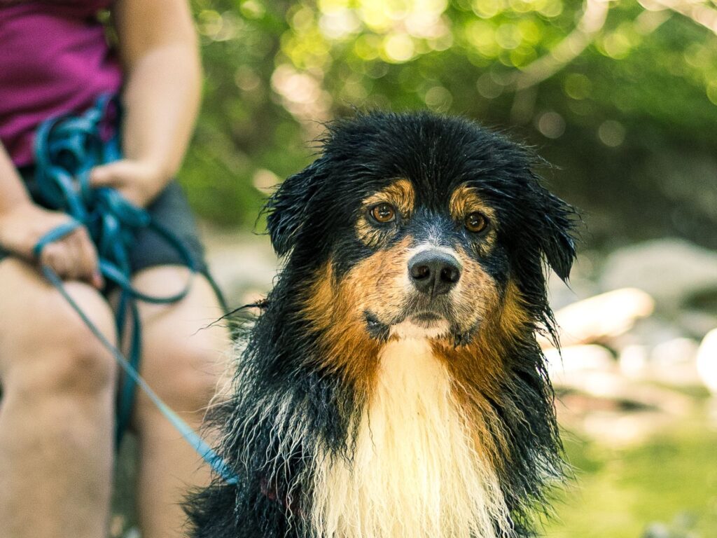 photographe professionnel en Normandie - NO Média